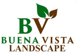 Buena Vista Landscape