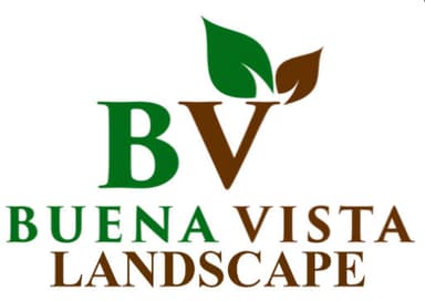 Buena Vista Landscape
