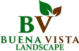 Buena Vista Landscape