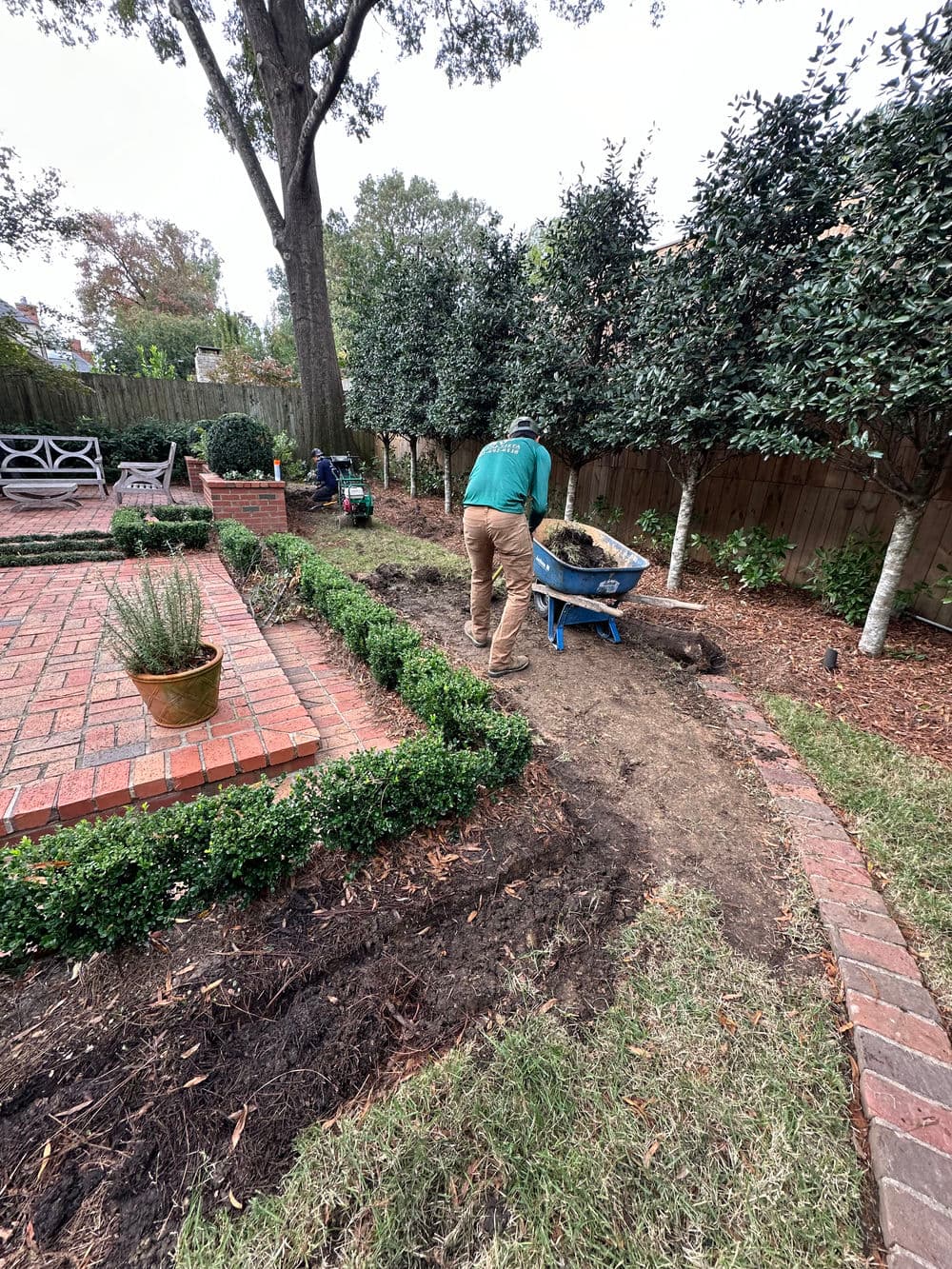 Gallery photos for Lawn Renovation in Memphis: Image #1